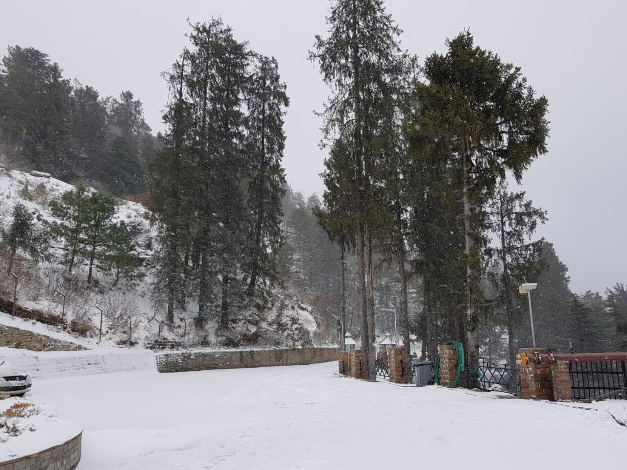 Royal Tulip Luxury Hotel, Kufri, Shimla Exterior foto